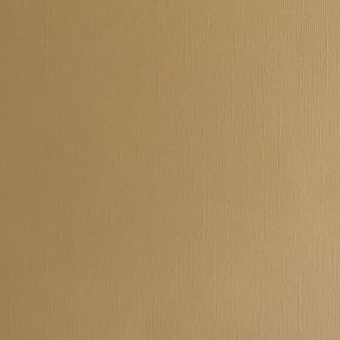 Desert Sand—12x12 Textured Cardstock | 80lb Textured Brown - Tan Scrapbook Paper | Premium Cardstock for Cricut Cutting | 25 Sheets