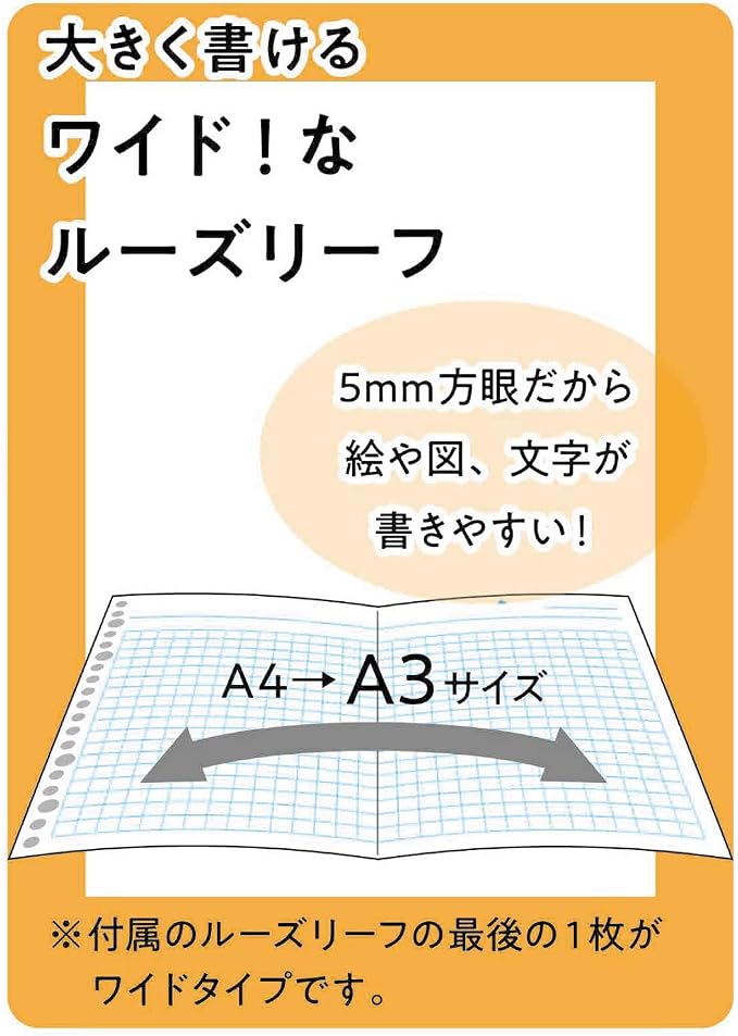 Maruman Session 30-Ring Binder, 5 Tab Dividers, A4 8.27"x11.69", Light Blue | Flexible Translucent Cover, Holds Up To 90 Sheets, Erasable Tabs, Storage Pocket, For Loose-Leaf Organization, Made in Japan
