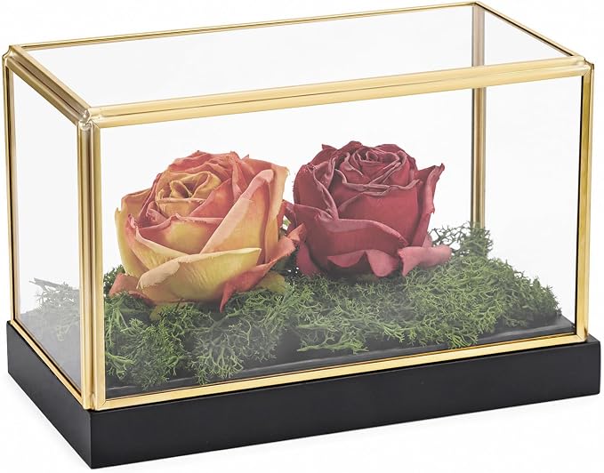 Hipiwe Glass Display Case for Collectibles Vintage Gold Display Case Box | Rectangular Glass Box for Figurine Models Plants Metal Frame Keepsake Box with Black Wood Base, 7.5"x4"x5"