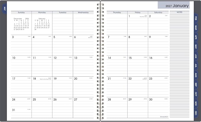 AT-A-GLANCE 2027 Planner, Monthly, 8.5" x 11", Tabbed, DayMinder, Gray (GC4700727)