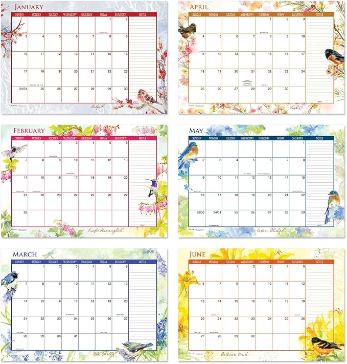 Current 2027-2028 Desk Calendar Pad | Year of Birds, 11” x 16.25”, Large, 2024-Month, 12 page Designs, Self-Stick Magnet Strips