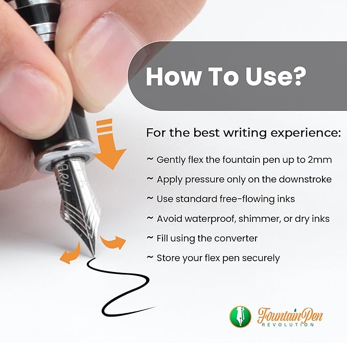 FPR Ambassador Ultra Flex Nib Fountain Pen Set, Black - Refillable Pen w/Cartridges & Converter - Calligraphy Pens for Writing, Journaling & Gifting - Luxury Pens For Smooth Strokes