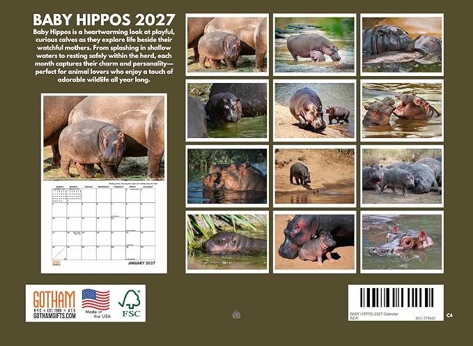 Baby Hippo Calendar 2027 Monthly Wall Calender 12 Month