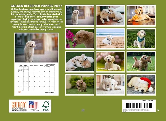 Golden Retriever Puppy Calendar 2027 Monthly Wall Calender 12 Month