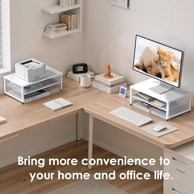 ECOLOVI 2-Tier Computer Monitor Stand Riser, Printer & Laptop Stand, Office Desk Accessories, Workspace Desk Organizer for Home Office Supplies, White