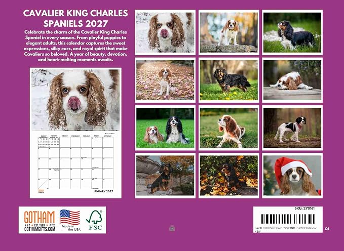 Cavalier King Charles Calendar 2027 Spaniel Monthly Wall Calender 12 Month