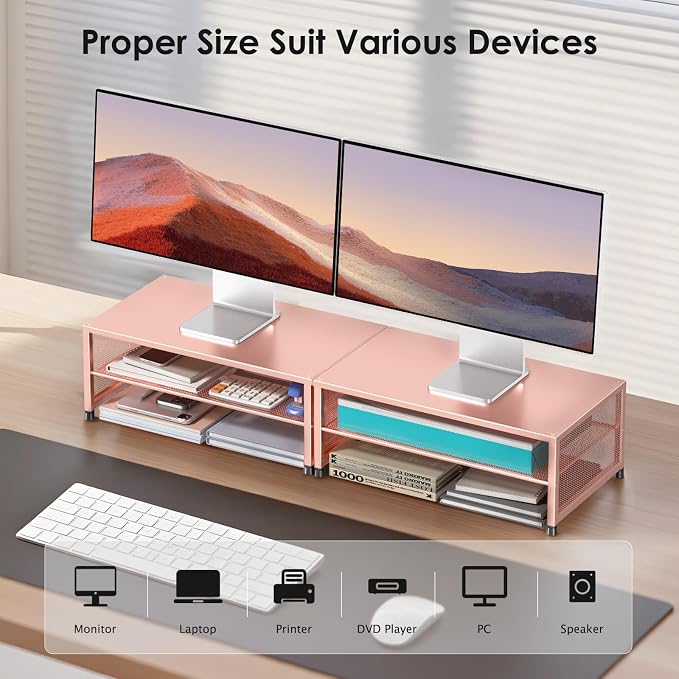 ECOLOVI 2-Tier Computer Monitor Stand Riser, Printer & Laptop Stand, Office Desk Accessories, Workspace Desk Organizer for Home Office Supplies, Rose