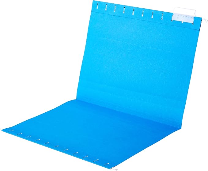 Amazon Basics Hanging File Folders with Adjustable Tabs, Sturdy Expandable Document Organizer, Letter Size, Assorted Colors, 25-Pack