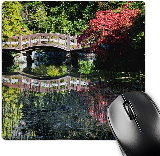 3dRose Desk Organization Mouse Pad, British Columbia, Victoria, Autumn, Maple Trees - CN02 TEG0118 - Terry Eggers, 8" x 8" (mp_135205_1)