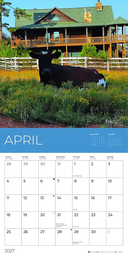 Rescue Cows 2027 Wall Calendar, 12 x 24 Hanging Pacific Waters Press