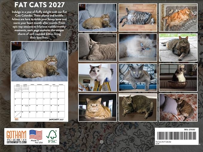 Fat Cat Calendar 2027 Monthly Wall Calender 12 Month