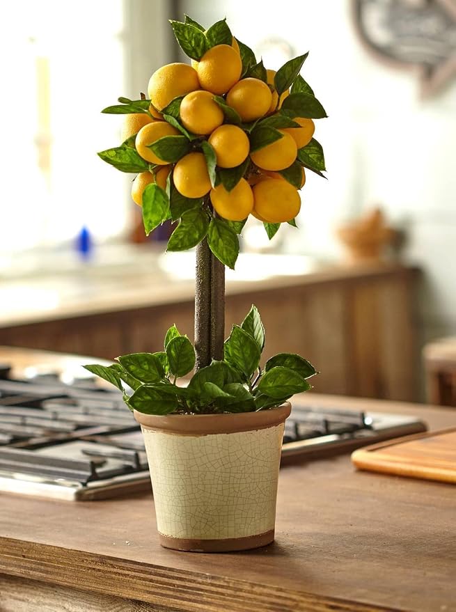 Nearly Natural Lemon Ball Topiary Arrangement, 19.5'' x 8.5'' x 8.75'' | Vibrant Citrus Fruits on a Stout Trunk, Elegant Decorative Pot Included, Maintenance-Free Accent for Home or Office Spaces