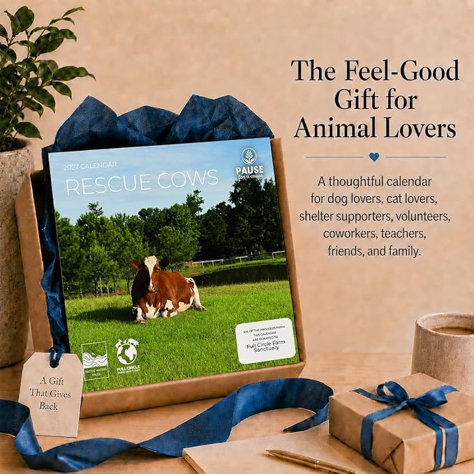 Rescue Cows 2027 Wall Calendar, 12 x 24 Hanging Pacific Waters Press