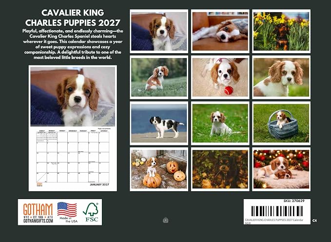 Cavalier King Charles Spaniel Puppy Calendar 2027 Monthly Wall Calender 12 Month