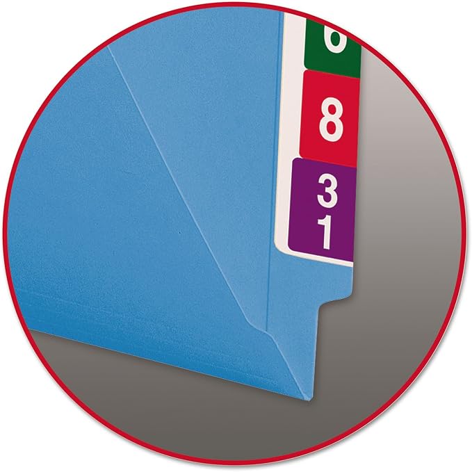 Smead End Tab File Folder, Shelf-Master Reinforced Straight-Cut Tab, Letter Size, Blue, 100 per Box (25010)