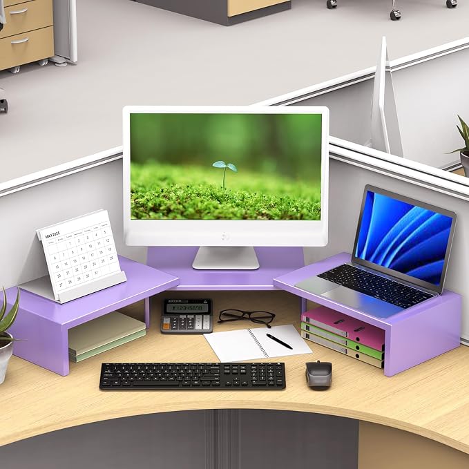 Desk Organizers and Accessories, Dual Monitor Stand Riser, Monitor Desk Shelf for Desktop Organization (Purple)