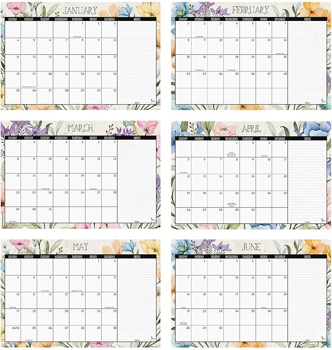 Current 2026-2027 Meadow Dance Desk Calendar Pad, 11-Inch x 16-1/4-Inch Size, Large 24-Month Bookstore-Quality Calendars for Kitchen & Office