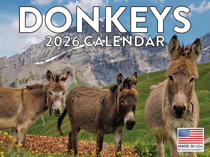 Donkey Calendar 2026 Monthly Wall Calender 12 Month | American Made In The USA