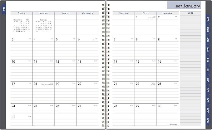 AT-A-GLANCE 2027 Appointment Book Planner, Weekly & Monthly, 8.5" x 11", Quarter-Hourly, DayMinder, Gray (GC5200727)