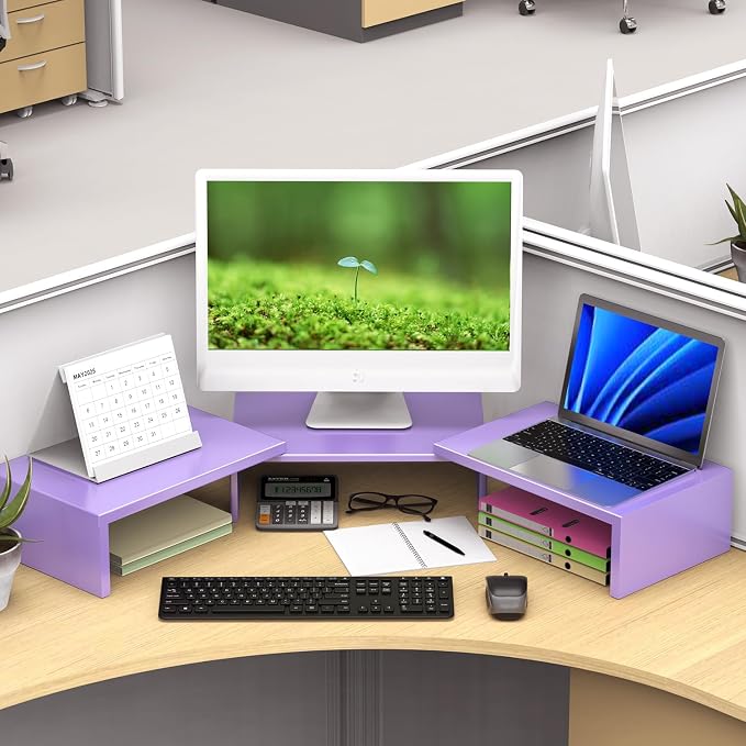 Dual Monitor Stand Riser | Monitor Stand for Desk, Metal Computer Stand, Desk Shelf Riser,Desktop Organizer for Home and Office Use (Purple)