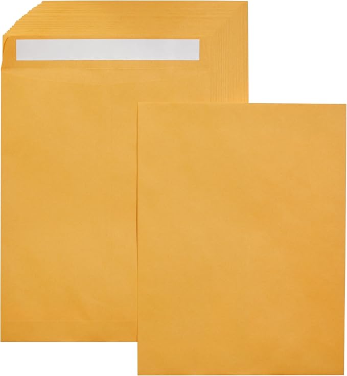 Amazon Basics Catalog Shipping Envelopes, Peel and Seal, 10" x 13", Brown Kraft, 100-Pack