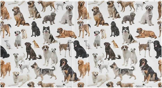 3 Ring Binder, Various Types of Dogs File Folder Holds 200 Sheets File Storage for Women Men School Office Supplie