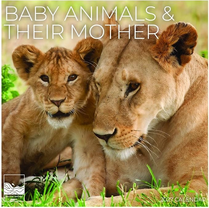Baby Animals & Their Mother 2027 Wall Calendar, 12 x 24 Hanging Pacific Waters Press