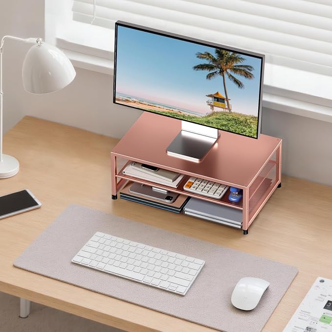 ECOLOVI 2-Tier Computer Monitor Stand Riser, Printer & Laptop Stand, Office Desk Accessories, Workspace Desk Organizer for Home Office Supplies, Rose