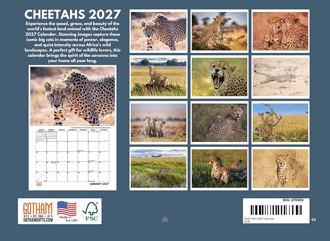 Cheetah Calendar 2027 Monthly Wall 12 Month Kids Safari Theme
