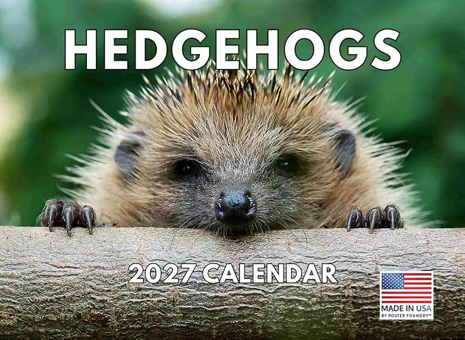 Hedgehog Calendar 2027 Monthly Wall Calender 12 Month