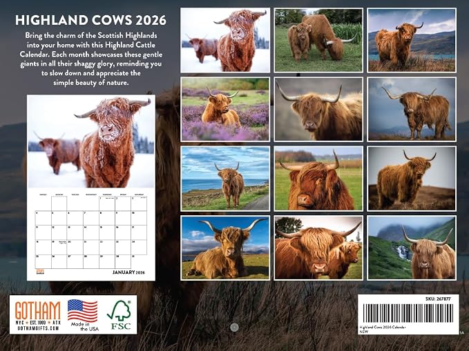 Highland Cow Calendar 2026 Scottish Cows Gifts For Highland Cow Lovers Hyland Hairy Coo Monthly Wall Calender 12 Month | American Made In The USA