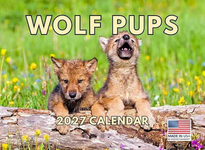Wolf Pup Calendar 2027 Baby Wolves Monthly Wall Calender 12 Month