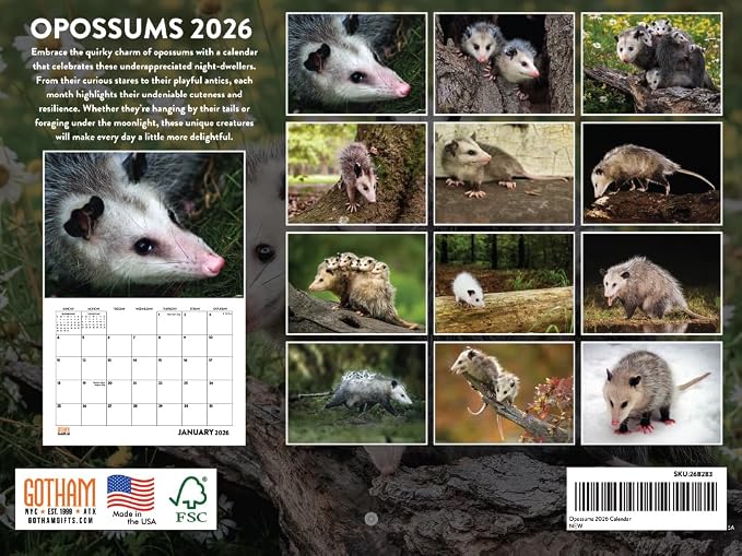 Opossum Calendar 2026 Wall 12 Month Opossums Gifts For Opossum Lovers Women Men Monthly Calender| American Made In The USA