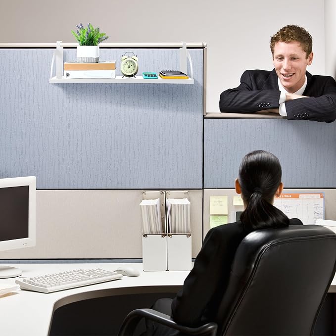Tandefio Office Cubicle Shelf 24'' Hanging Cubicle Storage Organizer File Hanging Shelf Accessories Storage Organizer Bookshelf with Hooks for Home Desk (White)