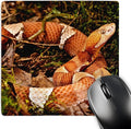 3D Rose "Broadbanded Copperhead SnakeNa02 Dno0909David Northcott" Matte Finish Mouse Pad - 8 x 8" - mp_140193_1