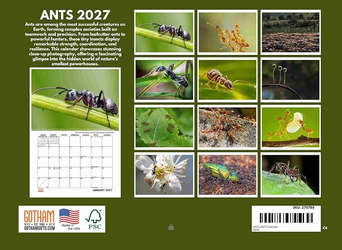 Ant Calendar 2027 Ants Monthly Wall Calender 12 Month
