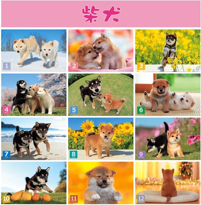 Shiba Inu Wall Calendar 2026-2027 Set, Cute Puppy Photos, Japanese Scenery
