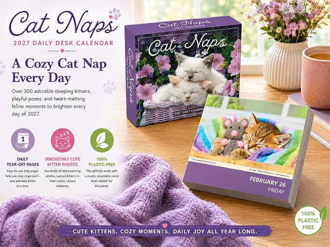 Cat Naps 2027 Daily Desk Calendar: Boxed Page-a-Day Cute Cat Photo Calendar with Day-to-Day Adorable Sleeping Kittens & Funny Feline Captions