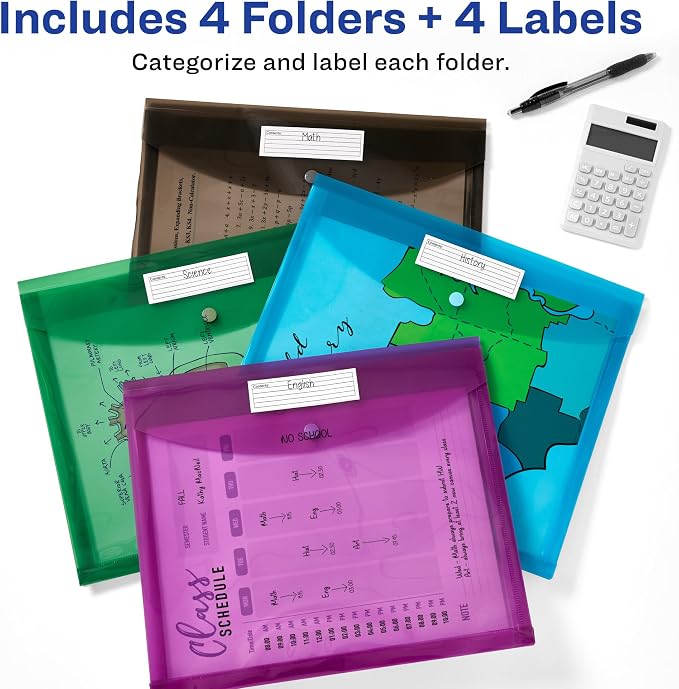 Avery Document Holder Envelope, Holds 450 Letter/A4-Size Sheets, 4-Color 4-Pack (73556)