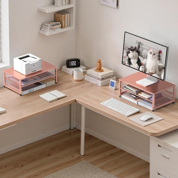 ECOLOVI 2-Tier Computer Monitor Stand Riser, Printer & Laptop Stand, Office Desk Accessories, Workspace Desk Organizer for Home Office Supplies, Rose
