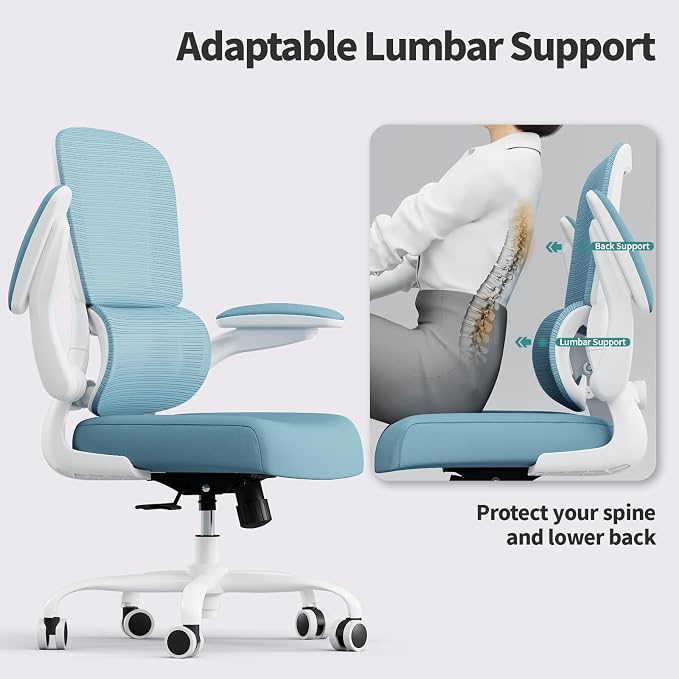 TRALT Office Chair - Ergonomic Desk Chair with Adjustable Lumbar Support, Mesh Computer Chair, Executive Chair for Home Office Comfortable Lumbar Support (1, Sky Blue)