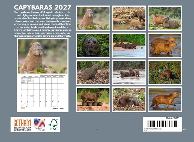 Capybara Calendar 2027 Monthly Wall Calender 12 Month