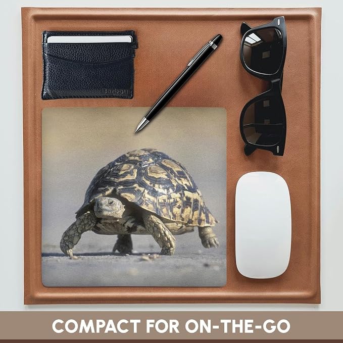 3dRose Danita Delimont - Turtles - Botswana, Chobe NP, Leopard Tortoise, Savuti Marsh-AF05 PSO0186 - Paul Souders - Mousepad (mp_75882_1)
