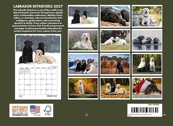Labrador Retriever Calendar 2027 Lab Monthly Wall Calender 12 Month
