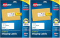 Avery Shipping Labels, 2" x 4", White, 250 Labels | Sure Feed Technology | Pack of 2 | Model 8163