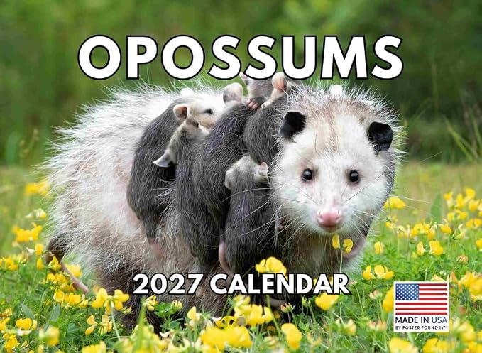 Opossum Calendar 2027 Wall 12 Month Opossums Gifts For Opossum Lovers Women Men Monthly Calender| American Made In The USA