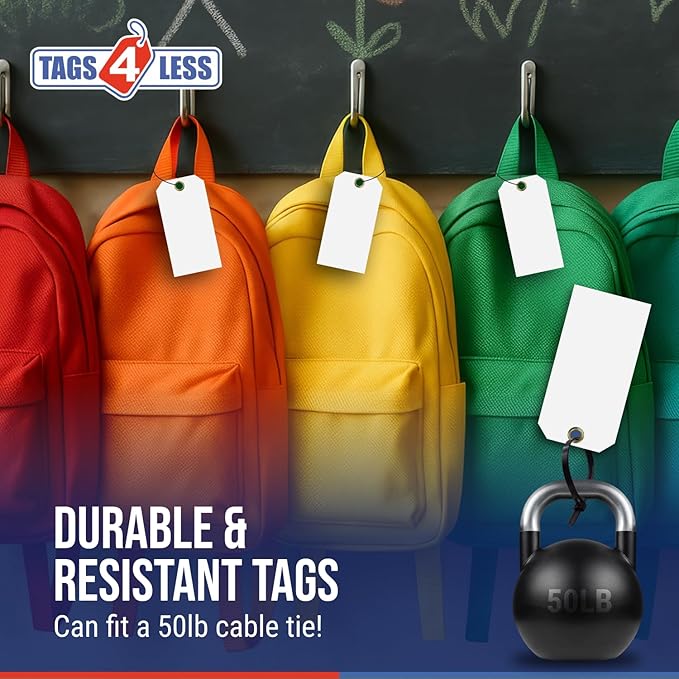 Tags 4 Less 15 Mil Waterproof Plastic Tags, Pack of 100 – 2” x 4” Heavy Duty Plastic Tags for Labeling, Outdoor Tagging, Equipment Labeling, Luggage, Valves & More (Black)