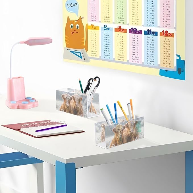Cattle Highland Cow Acrylic Pen Holder 4 Compartments with Prints, Desktop Makeup Brush Organizer Cutlery Acrylic Organizer Pencil Plastic Organizer Personalized Printed Pen Holder