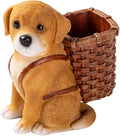 Dog Pen Holder Desk Gifts Men Women and Kids Unique Pen Pencil Holder Cup Funny Desktop Organizer for Home Office School Desk Decor15*12.5CM