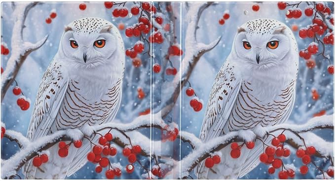 Winter Beautiful Owl with Red Berry Tree 3 Ring Binder 1.5" Decorative D-Ring Binder with Clipboard&3 Clear Pockets, Holds 200 Sheets A4 Size Paper Waterproof Binders for School Home Office|2 Pack